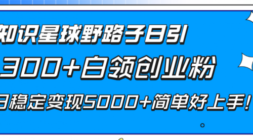 【副业项目8492期】知识星球野路子日引300+白领创业粉-佐帆副业网