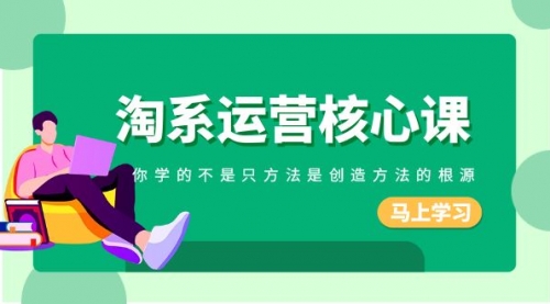 【副业项目8556期】淘系-运营核心课，你学的不是只方法是创造方法的根源-佐帆副业网
