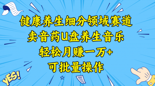 【副业项目8638期】健康养生细分领域赛道，卖音药U盘养生音乐，轻松月赚一万+，可批量操作-佐帆副业网
