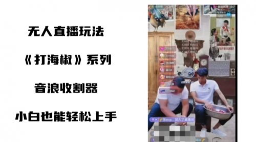【副业8766期】打海椒无人直播整蛊项目，小白轻松上手撸音浪收割器（教程+工具+素材）-佐帆副业网