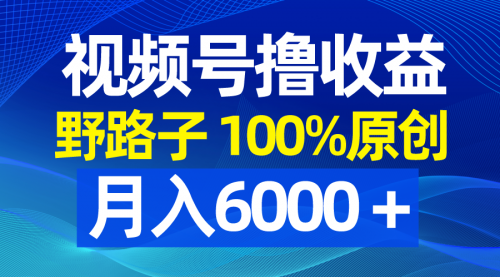 【副业8771期】视频号野路子撸收益，100%原创，条条爆款，月入6000＋-佐帆副业网