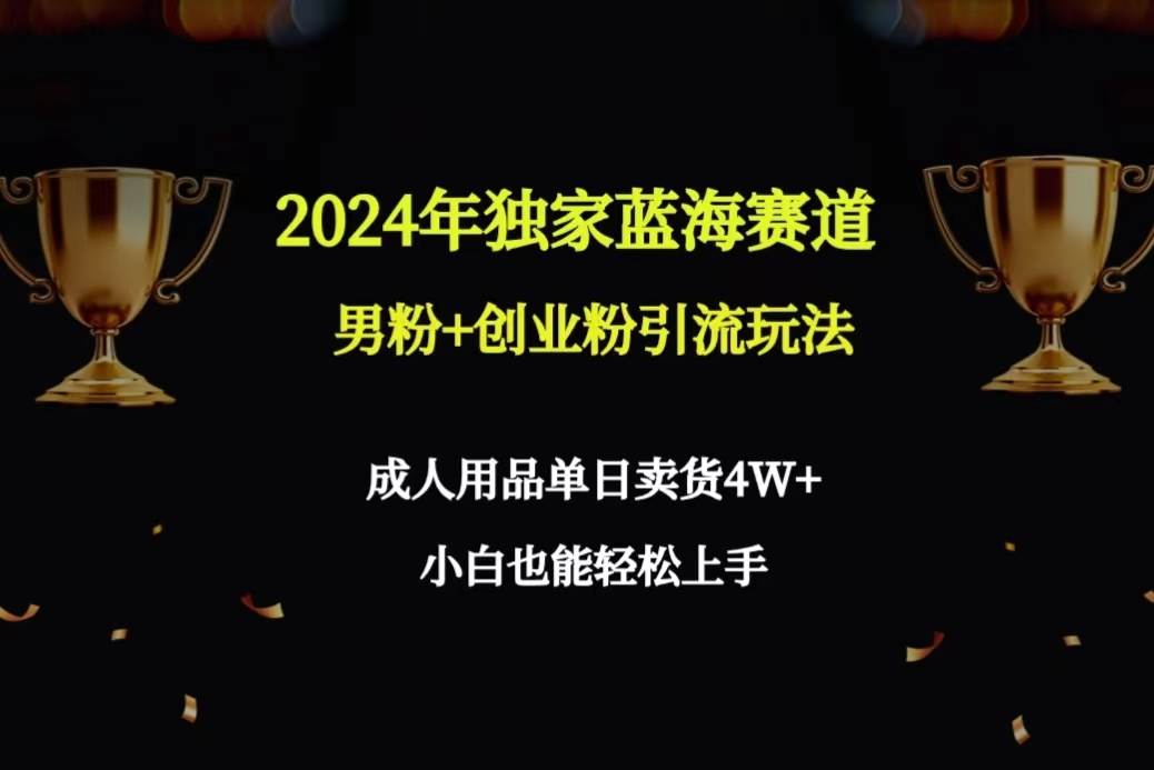 2024年独家蓝海赛道男粉+创业粉引流玩法，成人用品单日卖货4W+保姆教程-佐帆副业网