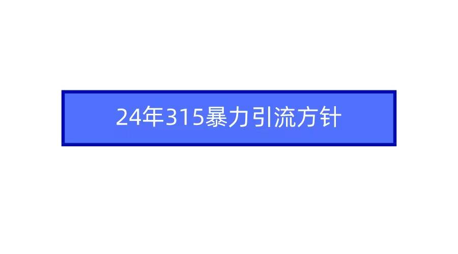 2024年315暴力引流方针-佐帆副业网