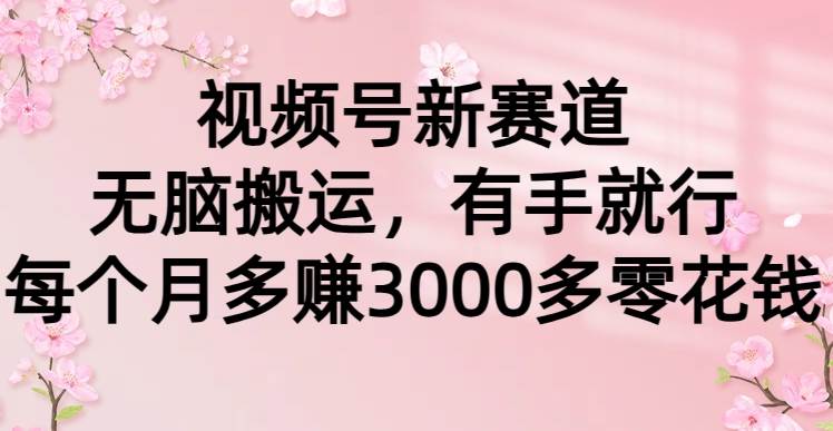 视频号新赛道，无脑搬运，有手就行，每个月多赚3000多零花钱-佐帆副业网