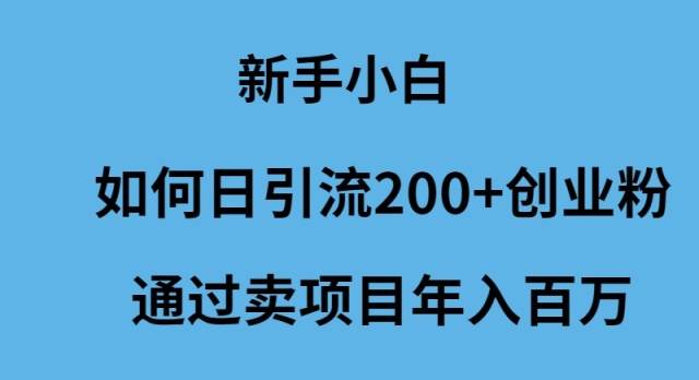 新手小白如何日引流200+创业粉通过卖项目年入百万-佐帆副业网