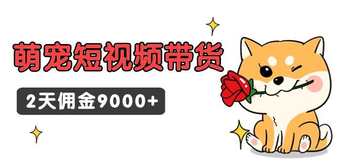 东哲日记·萌宠短视频带货，2天佣金9000+-佐帆副业网