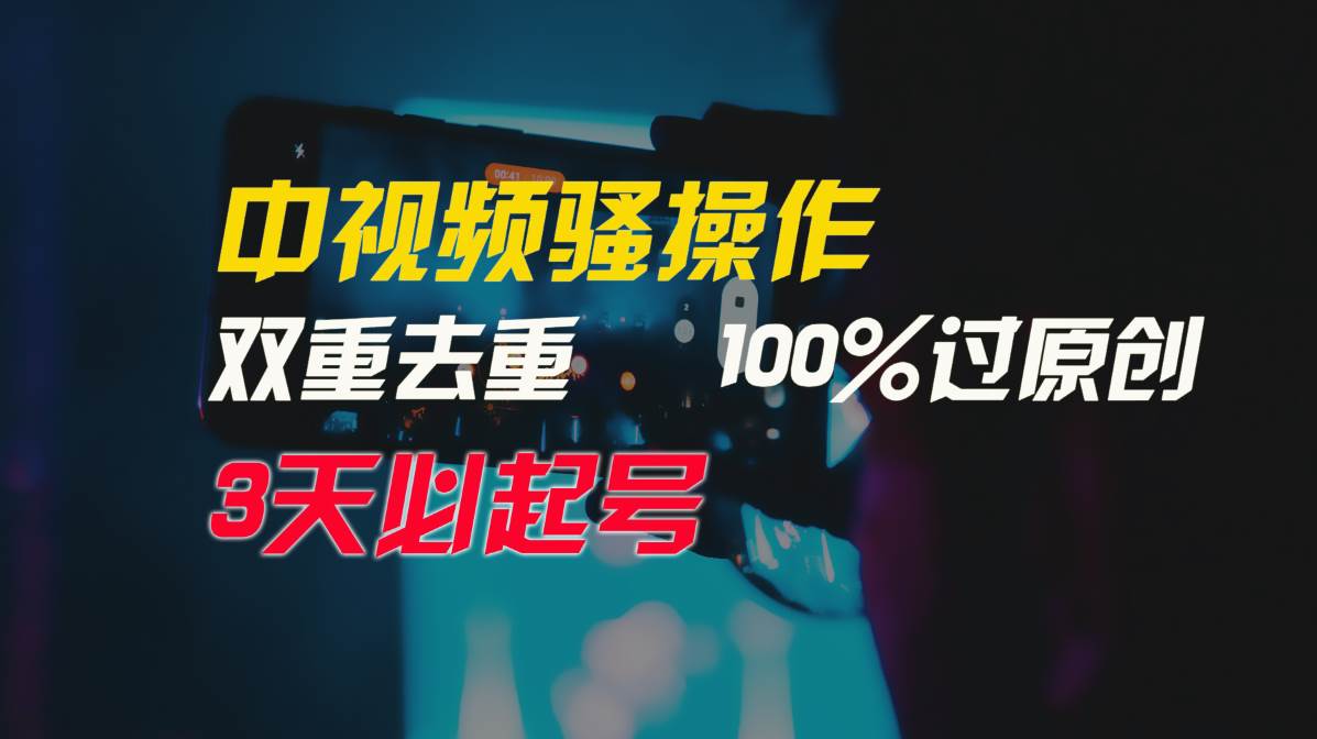 中视频骚操作，双重去重100%过原创，3天比必起号，简单无脑，月入3W+-佐帆副业网