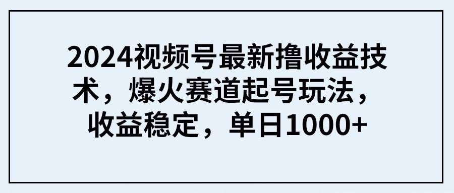 2024视频号最新撸收益技术，爆火赛道起号玩法，收益稳定，单日1000+-佐帆副业网