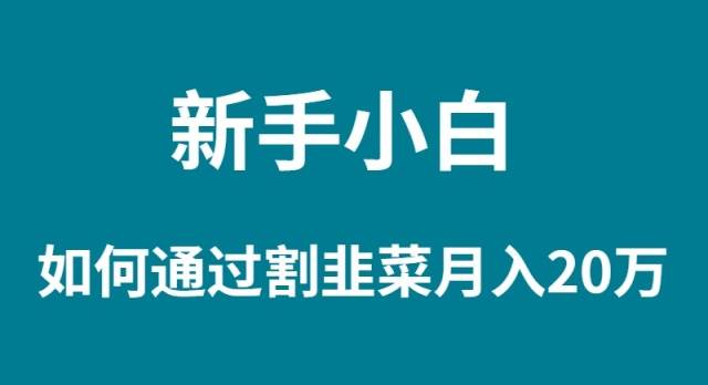 新手小白如何通过割韭菜月入 20W-佐帆副业网