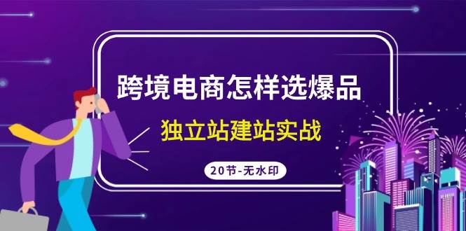 跨境电商怎样选爆品，独立站建站实战（20节高清无水印课）-佐帆副业网