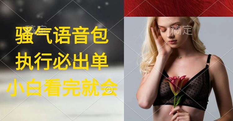 执行就出单，日入2000+，超火骚气语音包，小白看完课程就能马上实操-佐帆副业网