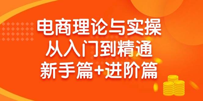 电商理论与实操从入门到精通 新手篇+进阶篇-佐帆副业网