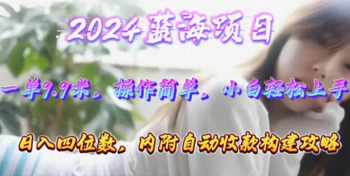 年轻群体的蓝海市场，1单9.9元，操作简单，小白轻松上手，日入四位数-佐帆副业网