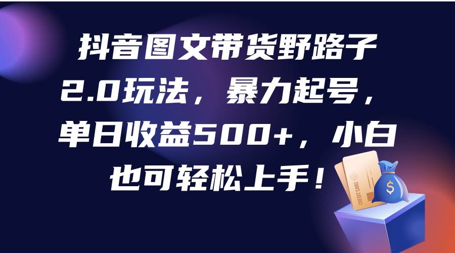 抖音图文带货野路子2.0玩法，暴力起号，单日收益500+，小白也可轻松上手！-佐帆副业网