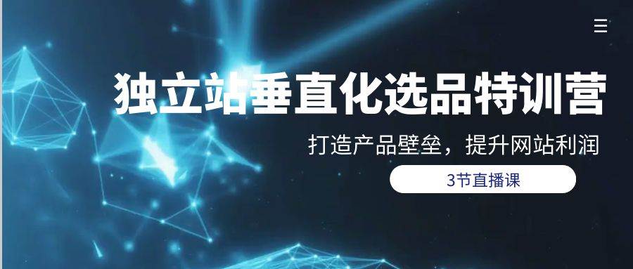 独立站-垂直化选品训练营，打造产品壁垒，提升网站利润（3节直播课）-佐帆副业网