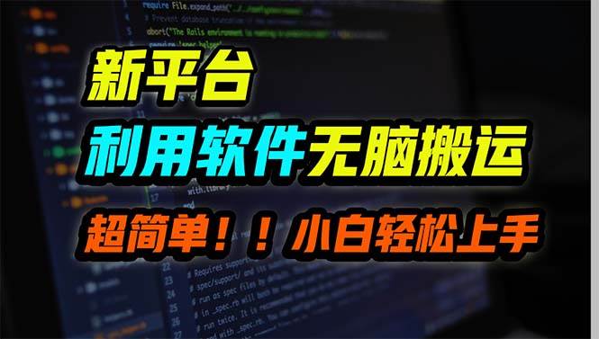 新平台用软件无脑搬运，月赚10000+，小白也能轻松上手-佐帆副业网