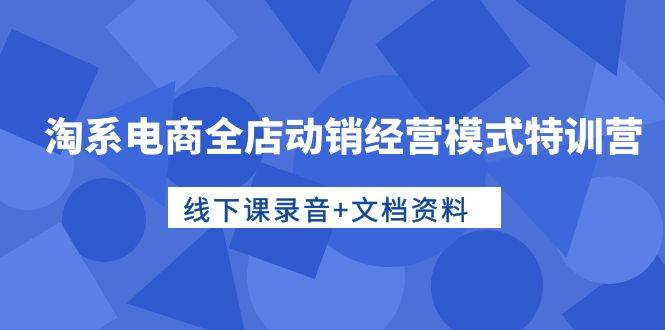 淘系电商全店动销经营模式特训营，线下课录音+文档资料-佐帆副业网