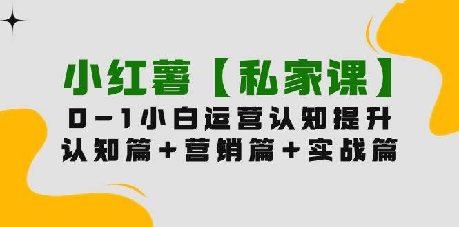 小红薯【私家课】0-1玩赚小红书内容营销，认知篇+营销篇+实战篇（11节课）-佐帆副业网