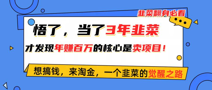 悟了，当了3年韭菜，才发现网赚圈年赚100万的核心是卖项目，含泪分享！-佐帆副业网