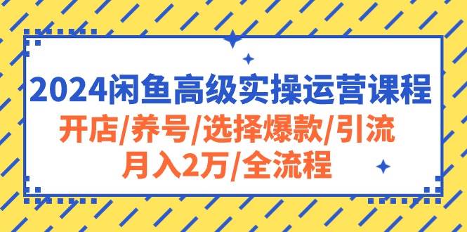 2024闲鱼高级实操运营课程：开店/养号/选择爆款/引流/月入2万/全流程-佐帆副业网
