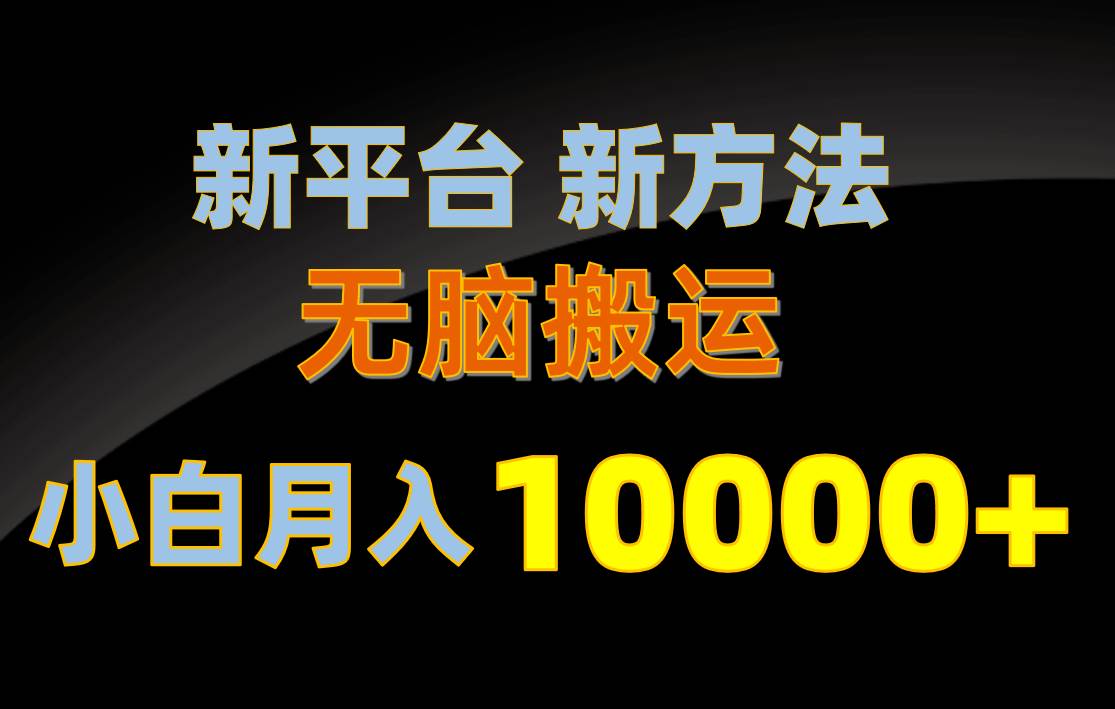 新平台新方法，无脑搬运，月赚10000+，小白轻松上手不动脑-佐帆副业网
