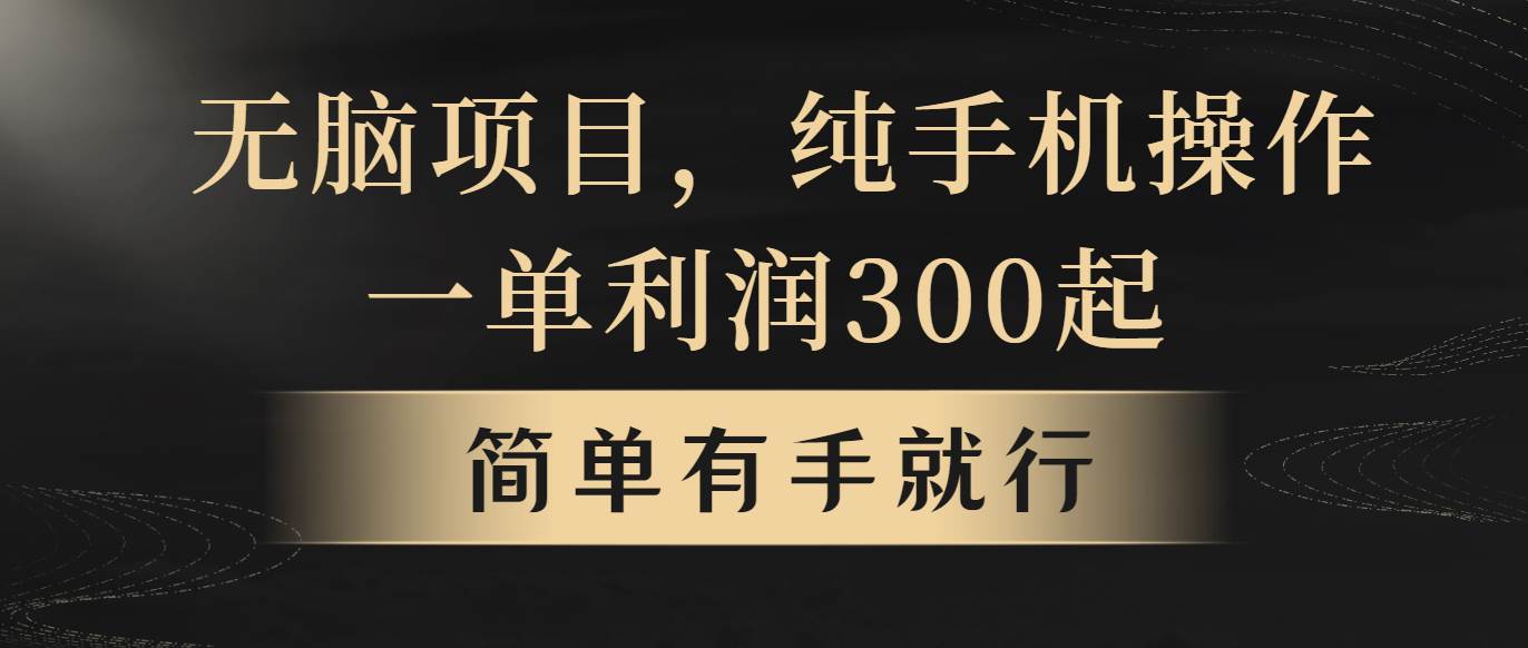 无脑项目，一单几百块，轻松月入5w+，看完就能直接操作-佐帆副业网