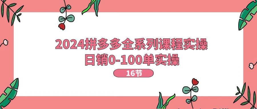 2024拼多多全系列课程实操，日销0-100单实操【16节课】-佐帆副业网