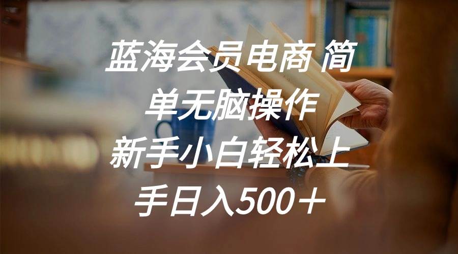 蓝海会员电商 简单无脑操作 新手小白轻松上手日入500＋-佐帆副业网