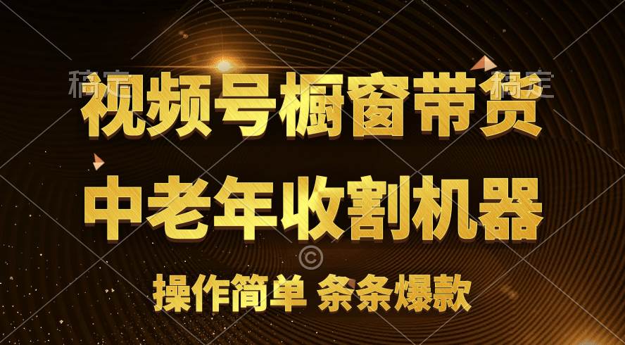 [你的孩子成功取得高位]视频号最火爆赛道，橱窗带货，流量分成计划，条…-佐帆副业网