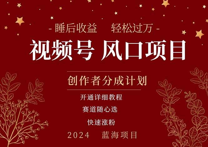 拥有睡眠收益的微信视频号大风口项目，轻松月入过万+，多赛道选择，可…-佐帆副业网