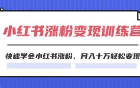 2024小红书涨粉变现训练营，快速学会小红书涨粉，月入十万轻松变现(40节)-佐帆副业网