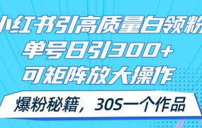 小红书引高质量白领粉,单号日引300+,可放大操作,爆粉秘籍!30s一个作品-佐帆副业网