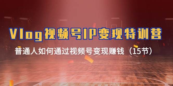 Vlog 视频号IP变现特训营，普通人如何通过视频号变现赚钱（15节）-佐帆副业网