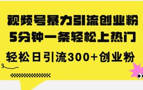 视频号暴力引流创业粉,5分钟一条轻松上热门,轻松日引流300+创业粉-佐帆副业网