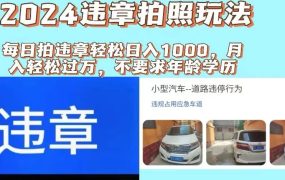 2024违章拍照新玩法，推广躺赚+拍照赚钱双模式，日入1000+-佐帆副业网