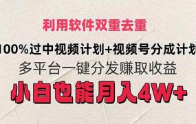 利用软件双重去重，100%过中视频+视频号分成计划小白也可以月入4W+-佐帆副业网