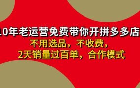 拼多多 最新合作开店日收4000+两天销量过百单,无学费、老运营代操作、...-佐帆副业网