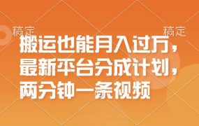 搬运也能月入过万,最新平台分成计划,一万播放一百米,一分钟一个作品-佐帆副业网