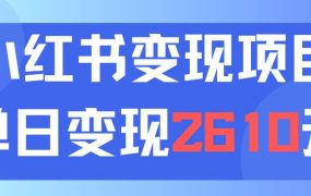 利用小红书卖资料单日引流150人当日变现2610元小白可实操(教程+资料)-佐帆副业网