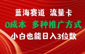 蓝海赛道 流量卡 0成本 小白也能日入三位数-佐帆副业网