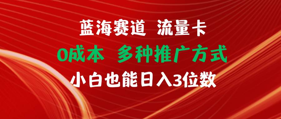 蓝海赛道 流量卡 0成本 小白也能日入三位数-佐帆副业网