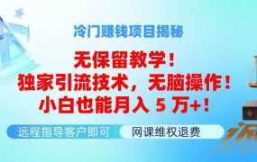 冷门赚钱项目无保留教学!独家引流技术,无脑操作!小白也能月入5万+!-佐帆副业网