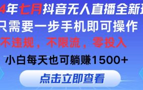2024年七月抖音无人直播全新玩法，只需一部手机即可操作，小白每天也可...-佐帆副业网