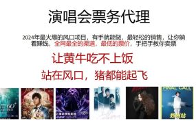 演唱会全网最低票务代理，小白一分钟上手，手把手教你卖票，日入2000+...-佐帆副业网
