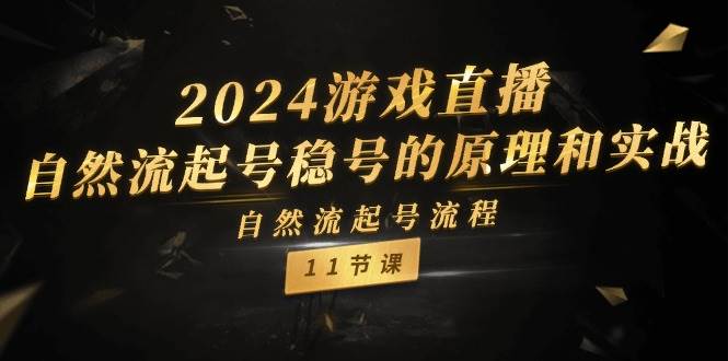 2024游戏直播-自然流起号稳号的原理和实战，自然流起号流程（11节）-佐帆副业网