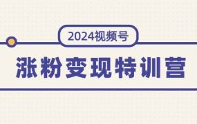 2024视频号-涨粉变现特训营:一站式打造稳定视频号涨粉变现模式(10节)-佐帆副业网