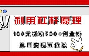 利用杠杆100元撬动500+创业粉,单日变现5位数-佐帆副业网