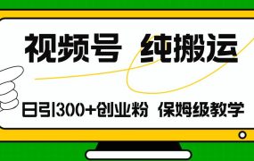 视频号纯搬运日引流300+创业粉,日入4000+-佐帆副业网