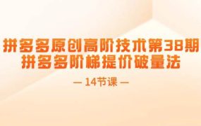 拼多多原创高阶技术第38期,拼多多阶梯提价破量法(14节课)-佐帆副业网