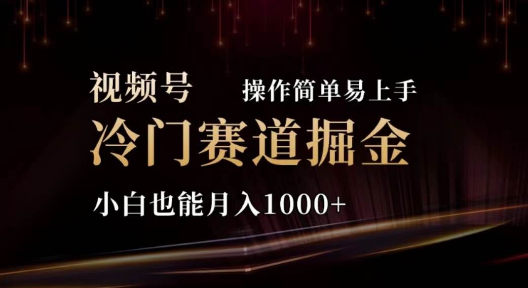 2024视频号冷门赛道掘金，操作简单轻松上手，小白也能月入1000+-佐帆副业网